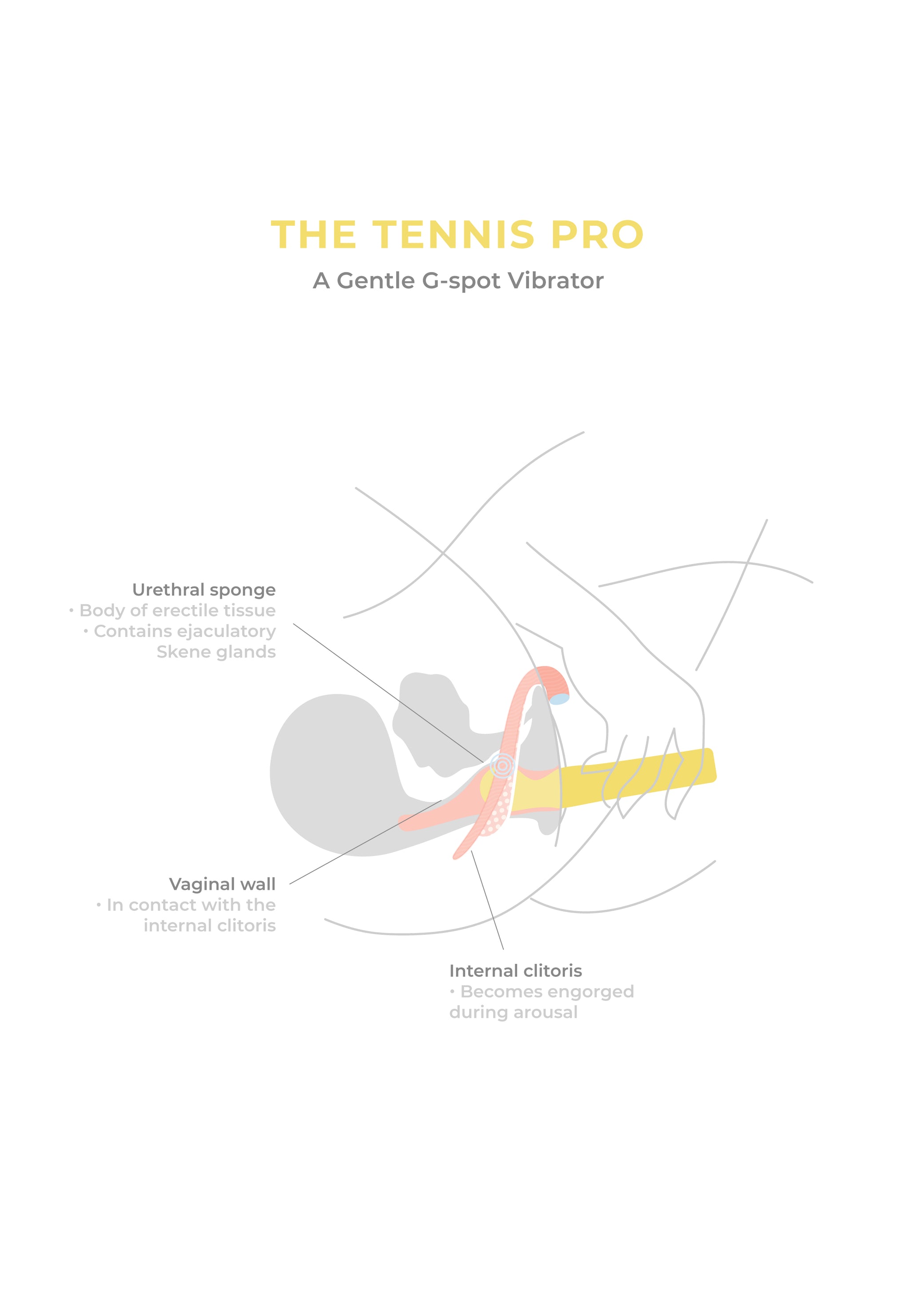 The Tennis - Vibrator Pro | Head gap pleasure Rounded